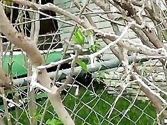 15 movies - St Patty's Day Foursome